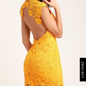 NWT LULUS Golden Yellow Backless Lace Summer Dress